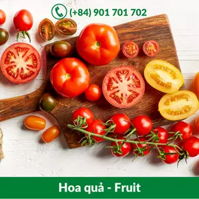 Hoa quả - Fruit_-06-11-2021-23-31-57.webp